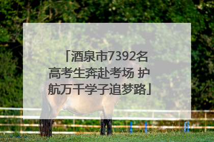 酒泉市7392名高考生奔赴考场 护航万千学子追梦路