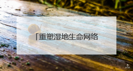 重塑湿地生命网络 赋能乡村“颜值”“产值”双提升