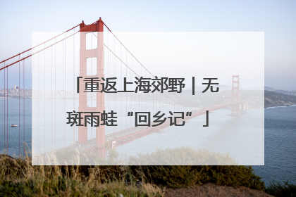 重返上海郊野｜无斑雨蛙“回乡记”
