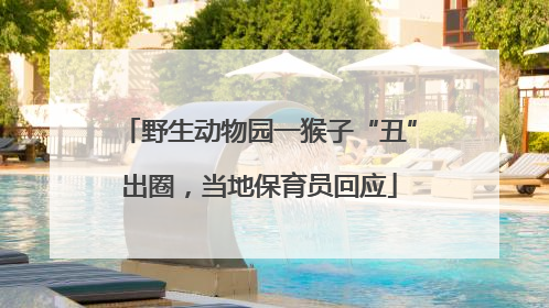 野生动物园一猴子“丑”出圈，当地保育员回应