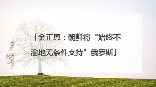 金正恩：朝鲜将“始终不渝地无条件支持”俄罗斯