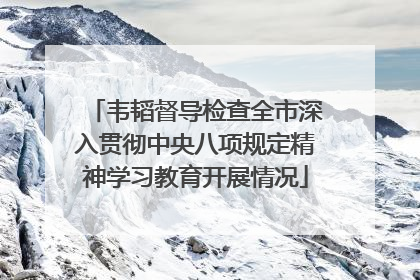 韦韬督导检查全市深入贯彻中央八项规定精神学习教育开展情况
