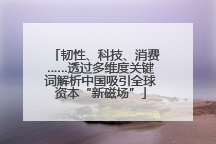 韧性、科技、消费……透过多维度关键词解析中国吸引全球资本“新磁场”
