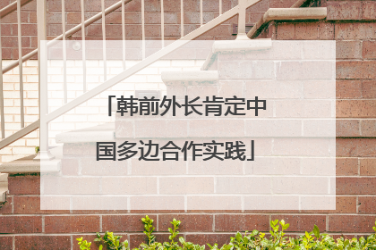 韩前外长肯定中国多边合作实践