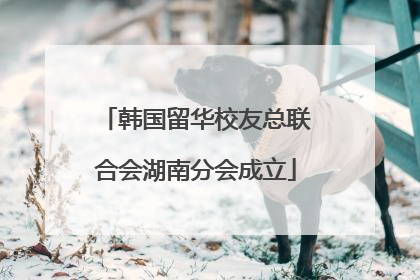 韩国留华校友总联合会湖南分会成立