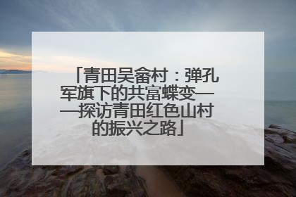 青田吴畲村：弹孔军旗下的共富蝶变——探访青田红色山村的振兴之路