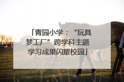 青园小学：“玩具梦工厂”跨学科主题学习成果闪耀校园