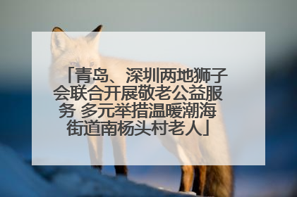 青岛、深圳两地狮子会联合开展敬老公益服务 多元举措温暖潮海街道南杨头村老人