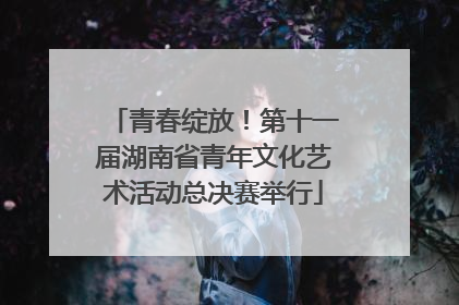 青春绽放！第十一届湖南省青年文化艺术活动总决赛举行