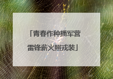 青春作种播军营 雷锋薪火照戎装