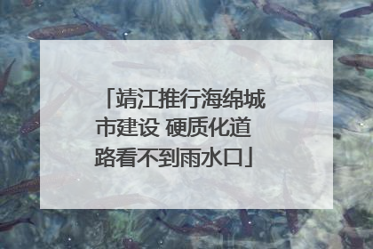 靖江推行海绵城市建设 硬质化道路看不到雨水口