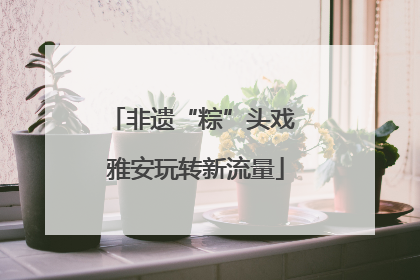 非遗“粽”头戏 雅安玩转新流量