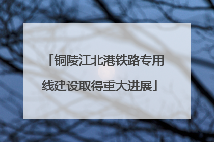 铜陵江北港铁路专用线建设取得重大进展