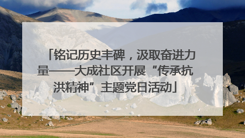 铭记历史丰碑，汲取奋进力量——大成社区开展“传承抗洪精神”主题党日活动