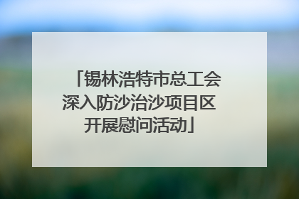 锡林浩特市总工会深入防沙治沙项目区开展慰问活动