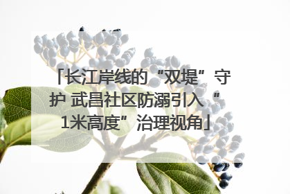 长江岸线的“双堤”守护 武昌社区防溺引入“1米高度”治理视角