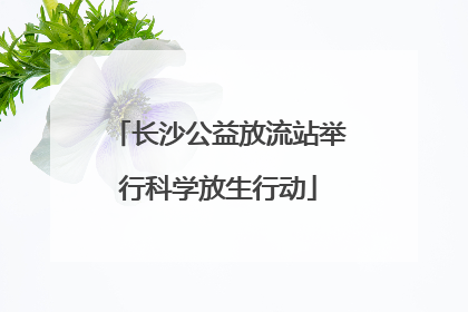 长沙公益放流站举行科学放生行动