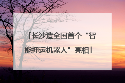 长沙造全国首个“智能押运机器人”亮相
