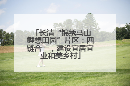 长清“锦绣马山 鲤想田园”片区：四链合一，建设宜居宜业和美乡村