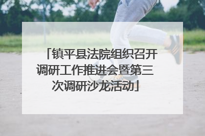 镇平县法院组织召开调研工作推进会暨第三次调研沙龙活动