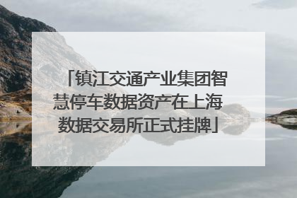 镇江交通产业集团智慧停车数据资产在上海数据交易所正式挂牌