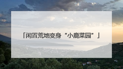闲置荒地变身“小鹿菜园”