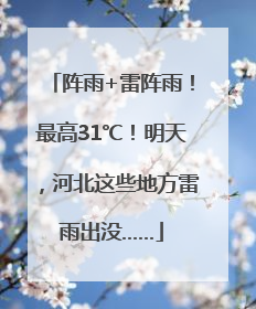 阵雨+雷阵雨！最高31℃！明天，河北这些地方雷雨出没……