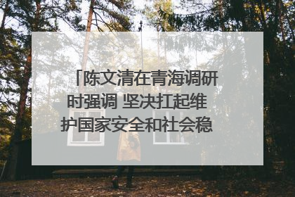 陈文清在青海调研时强调 坚决扛起维护国家安全和社会稳定职责使命 为谱写中国式现代化青海篇章贡献政法力量
