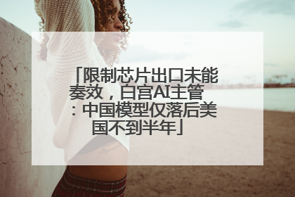 限制芯片出口未能奏效，白宫AI主管：中国模型仅落后美国不到半年