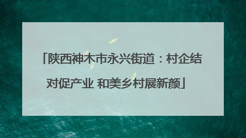 陕西神木市永兴街道：村企结对促产业 和美乡村展新颜