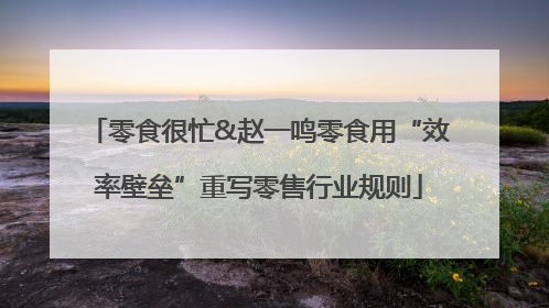 零食很忙&赵一鸣零食用“效率壁垒”重写零售行业规则
