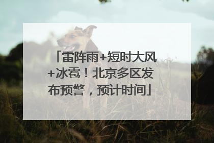 雷阵雨+短时大风+冰雹！北京多区发布预警，预计时间