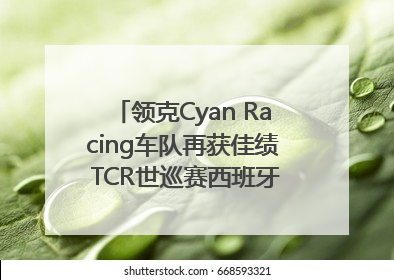 领克Cyan Racing车队再获佳绩 TCR世巡赛西班牙站包揽六座奖杯