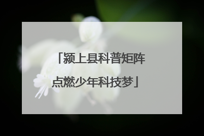 颍上县科普矩阵点燃少年科技梦