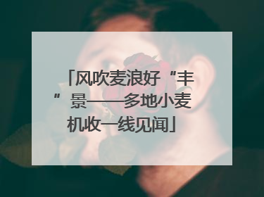 风吹麦浪好“丰”景——多地小麦机收一线见闻