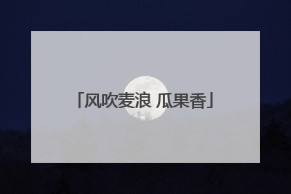 风吹麦浪 瓜果香