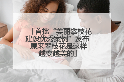 首批“美丽攀枝花建设优秀案例”发布 原来攀枝花是这样越变越美的