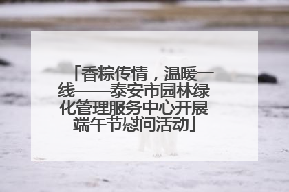 香粽传情，温暖一线——泰安市园林绿化管理服务中心开展端午节慰问活动