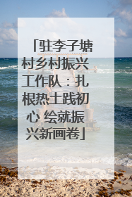 驻李子塘村乡村振兴工作队：扎根热土践初心 绘就振兴新画卷
