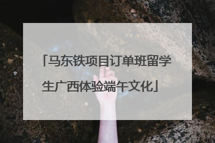 马东铁项目订单班留学生广西体验端午文化