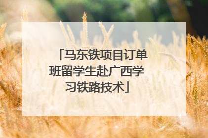 马东铁项目订单班留学生赴广西学习铁路技术