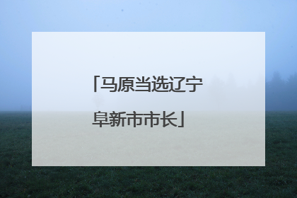 马原当选辽宁阜新市市长