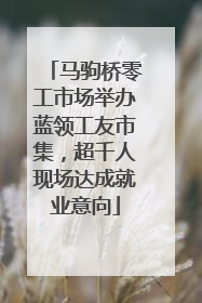 马驹桥零工市场举办蓝领工友市集，超千人现场达成就业意向