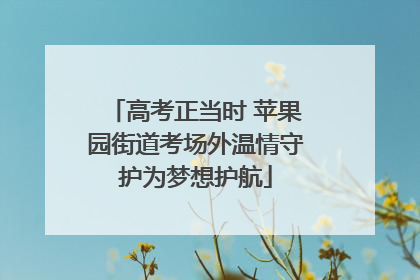 高考正当时 苹果园街道考场外温情守护为梦想护航