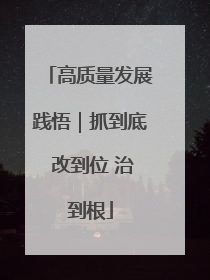 高质量发展践悟｜抓到底 改到位 治到根