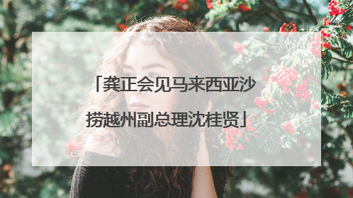 龚正会见马来西亚沙捞越州副总理沈桂贤