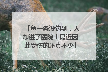 鱼一条没钓到，人却进了医院！最近因此受伤的还真不少