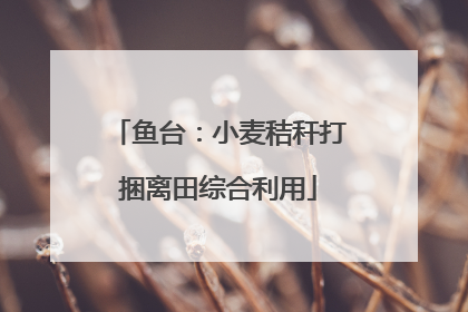 鱼台：小麦秸秆打捆离田综合利用