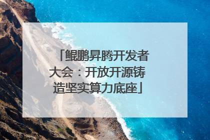 鲲鹏昇腾开发者大会：开放开源铸造坚实算力底座