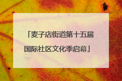 麦子店街道第十五届国际社区文化季启幕